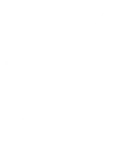 Trinnov Audio